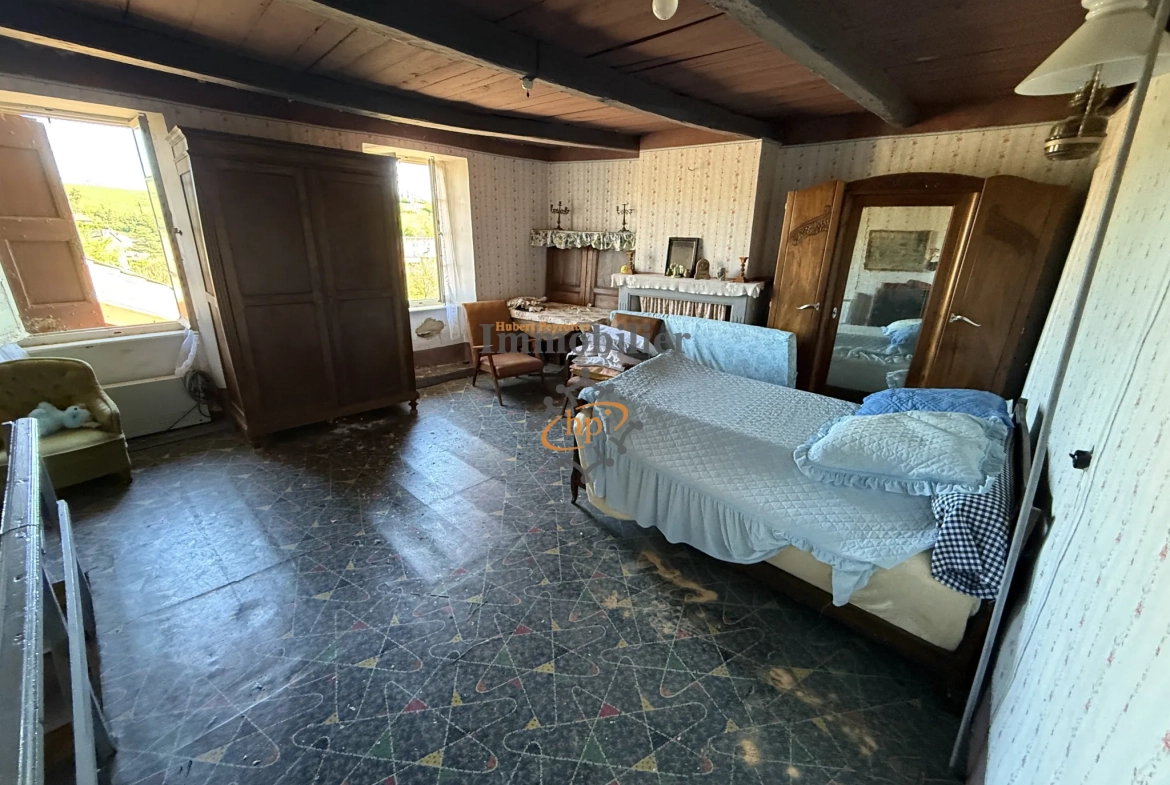 Maison en pierre à vendre à Saint Izaire, Aveyron - 5 chambres, terrasse, village de caractère 