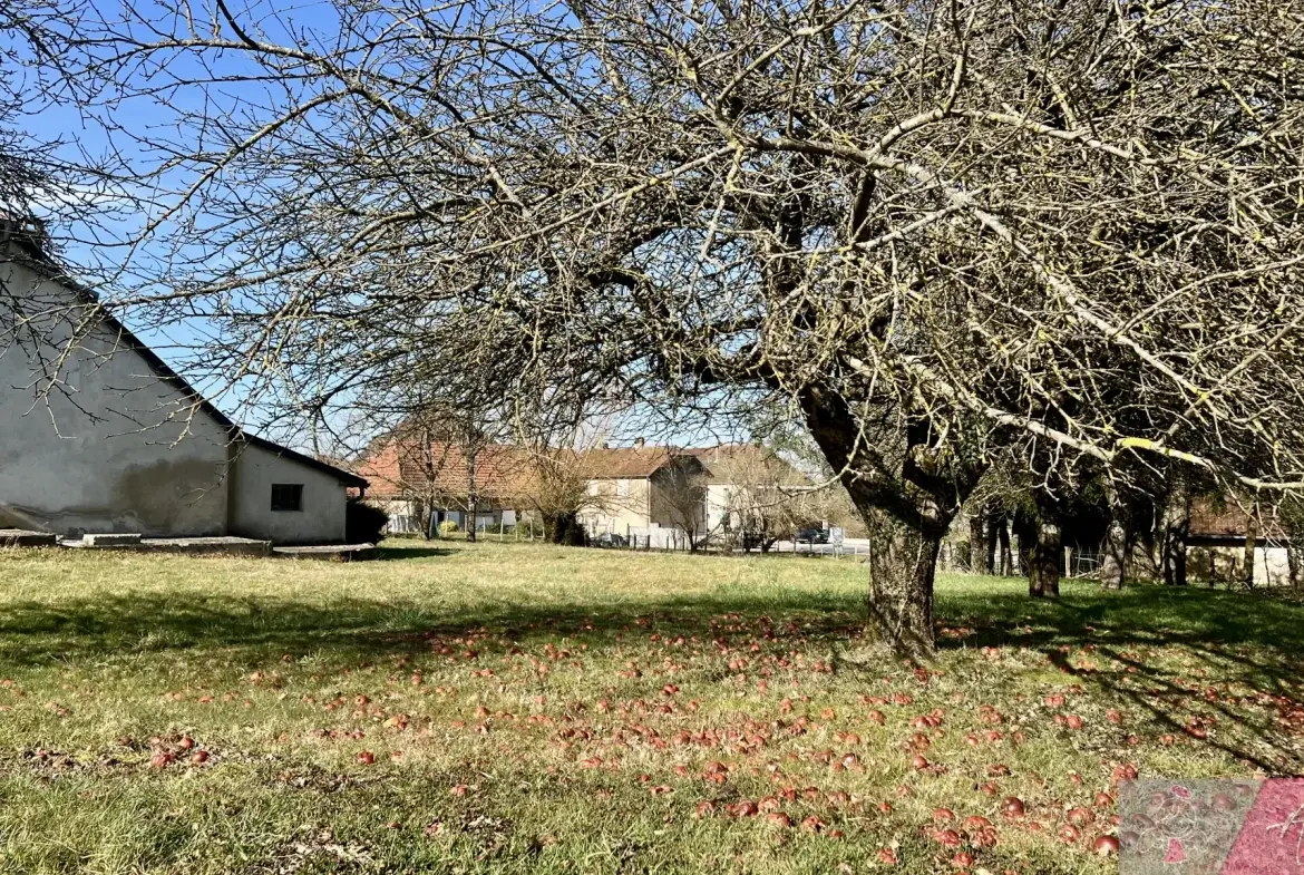 Belle maison en pierre de 264 m² à Tassenières avec grand terrain 