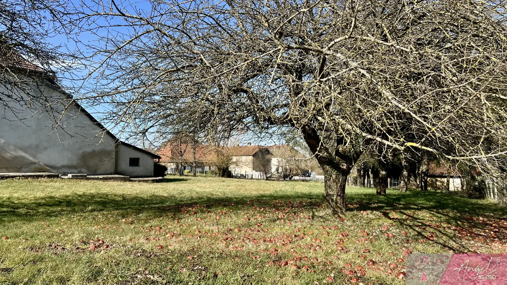 Belle maison en pierre de 264 m² à Tassenières avec grand terrain 