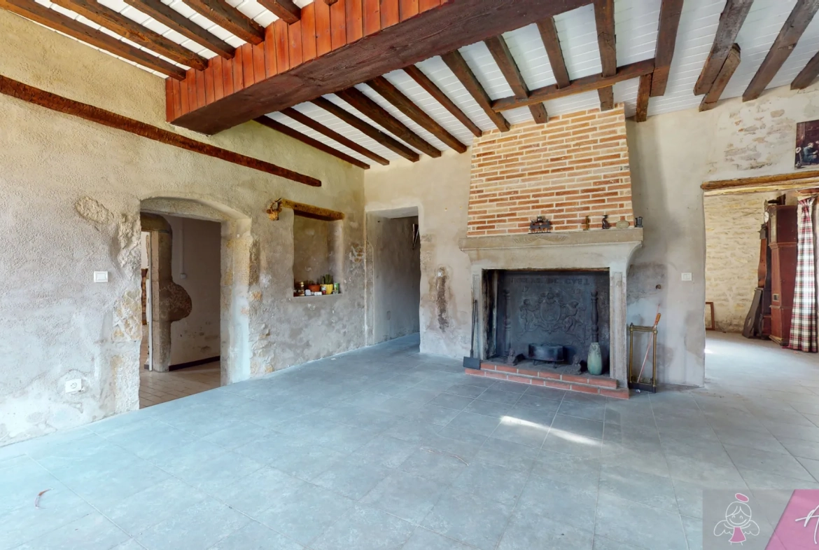 Belle maison en pierre de 264 m² à Tassenières avec grand terrain 