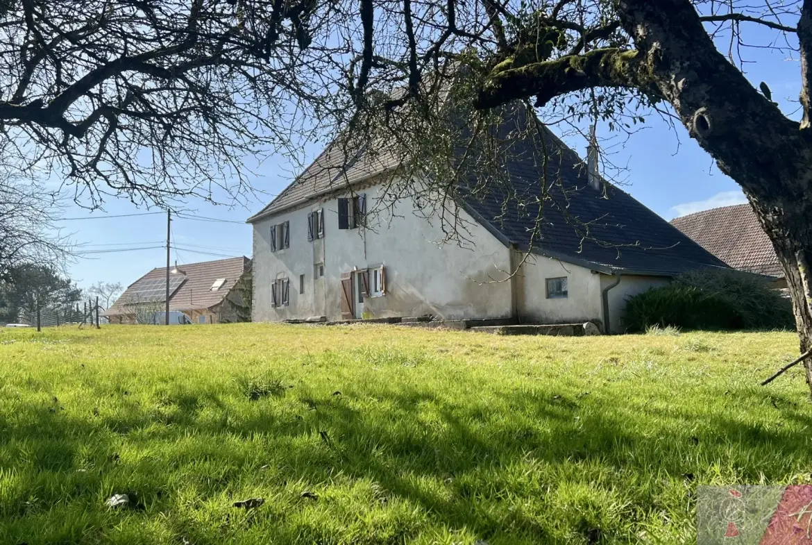 Belle maison en pierre de 264 m² à Tassenières avec grand terrain 