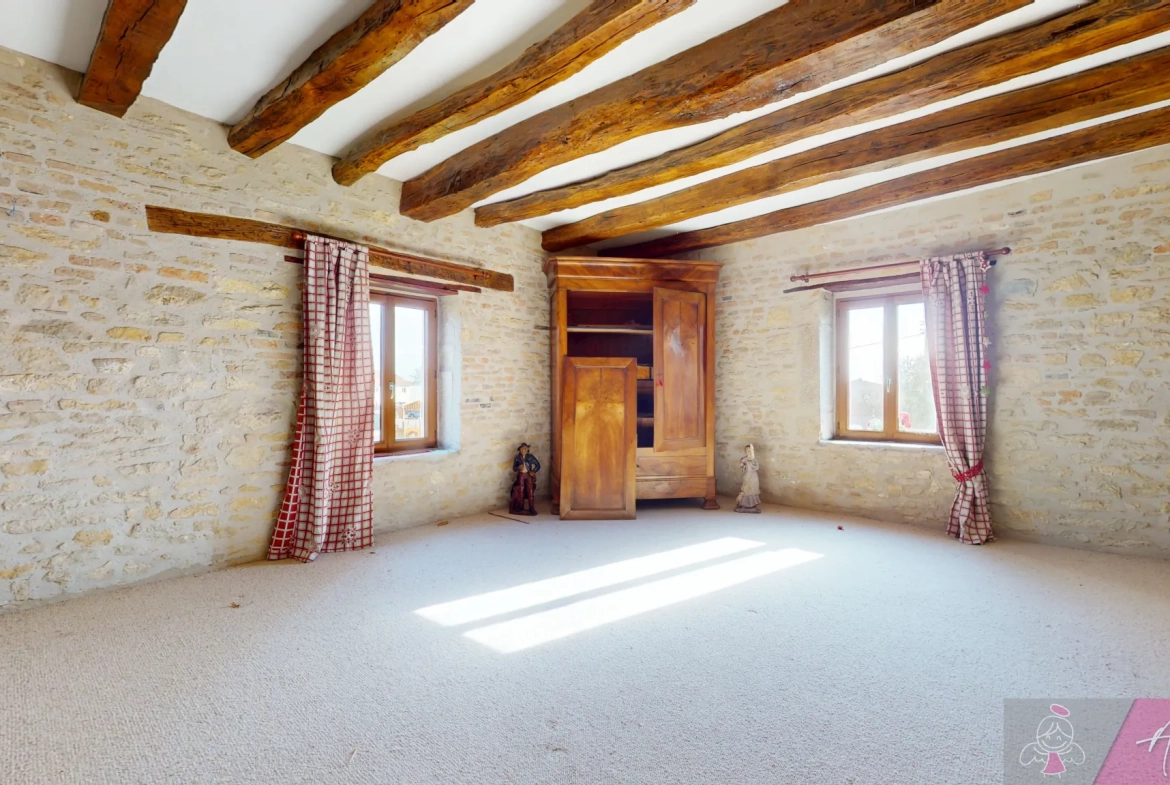 Belle maison en pierre de 264 m² à Tassenières avec grand terrain 