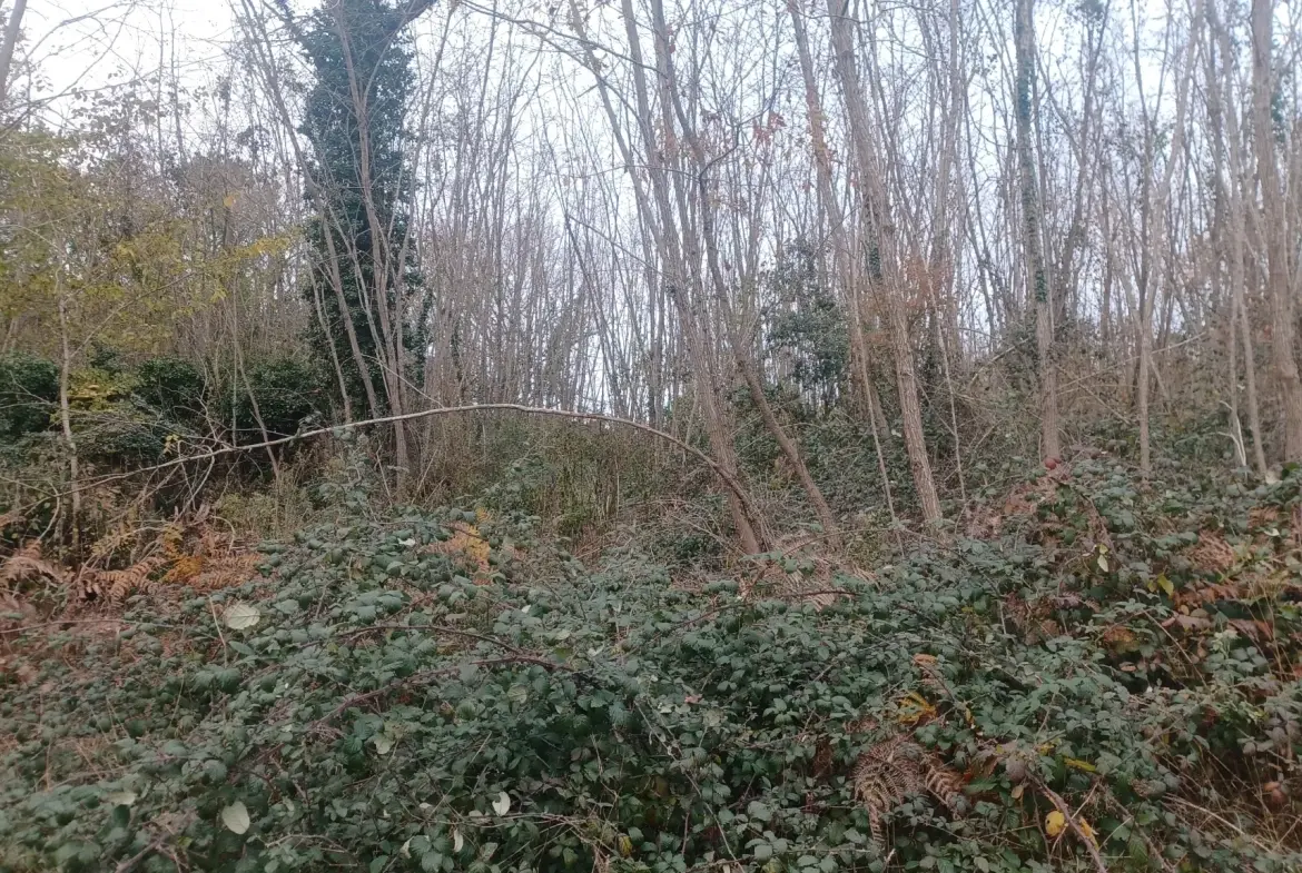 Terrains à bâtir à Meyrals, Dordogne – Parcelles boisées et non boisées 