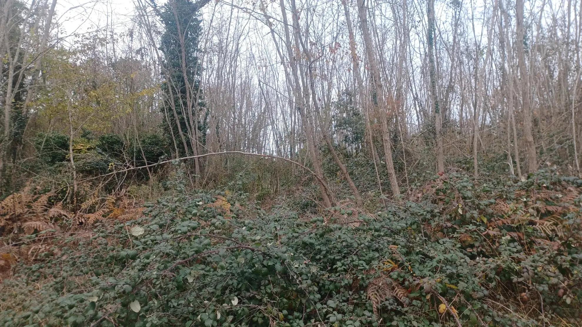 Terrains à bâtir à Meyrals, Dordogne – Parcelles boisées et non boisées 