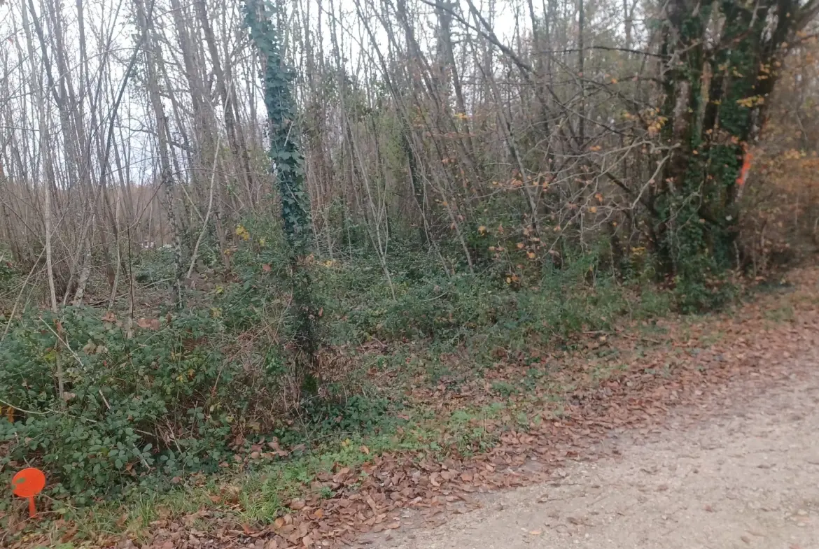 Terrains à bâtir à Meyrals, Dordogne – Parcelles boisées et non boisées 