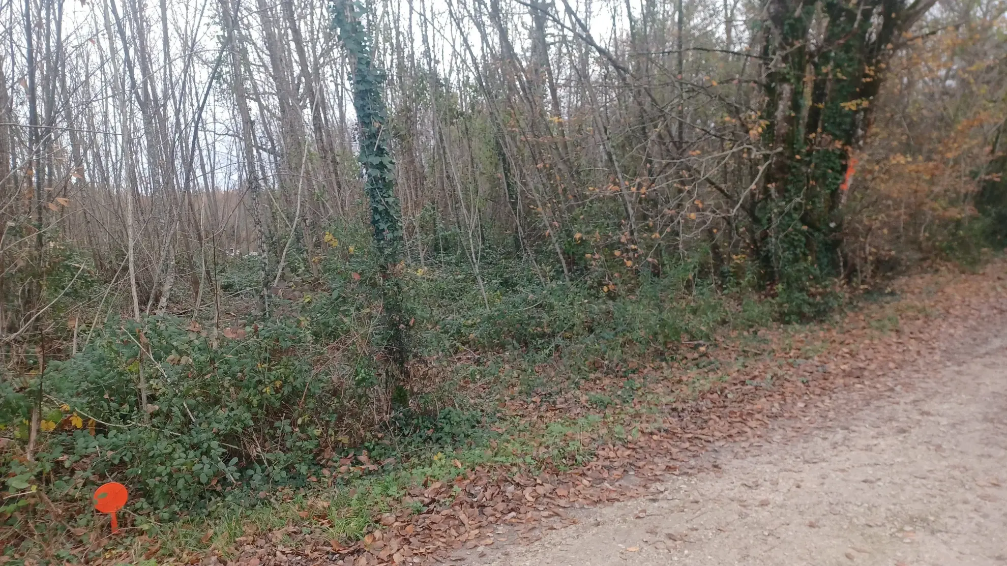 Terrains à bâtir à Meyrals, Dordogne – Parcelles boisées et non boisées 