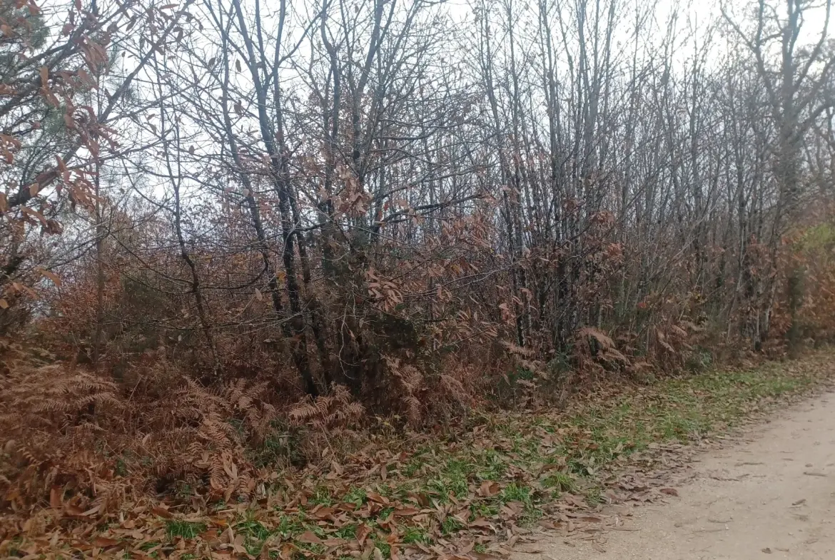 Terrains à bâtir à Meyrals, Dordogne – Parcelles boisées et non boisées 