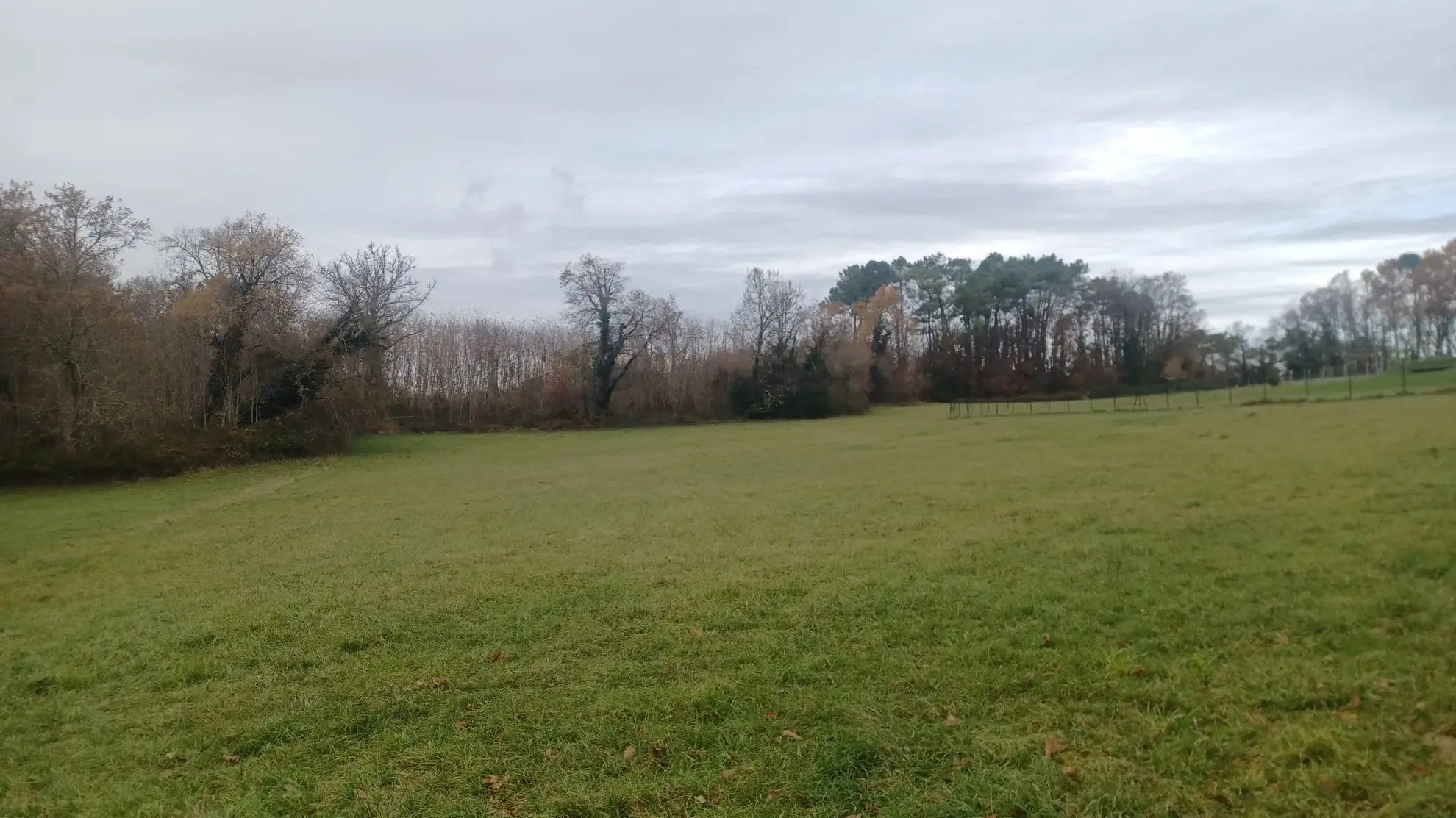 Terrains à bâtir à Meyrals, Dordogne – Parcelles boisées et non boisées 