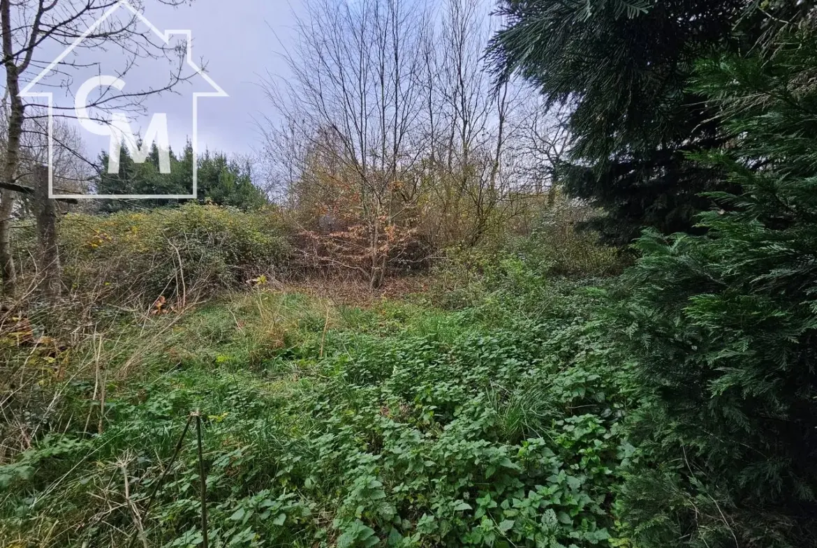 Maison à vendre à Lathus-Saint-Rémy de 2 pièces avec jardin de 752 m² 