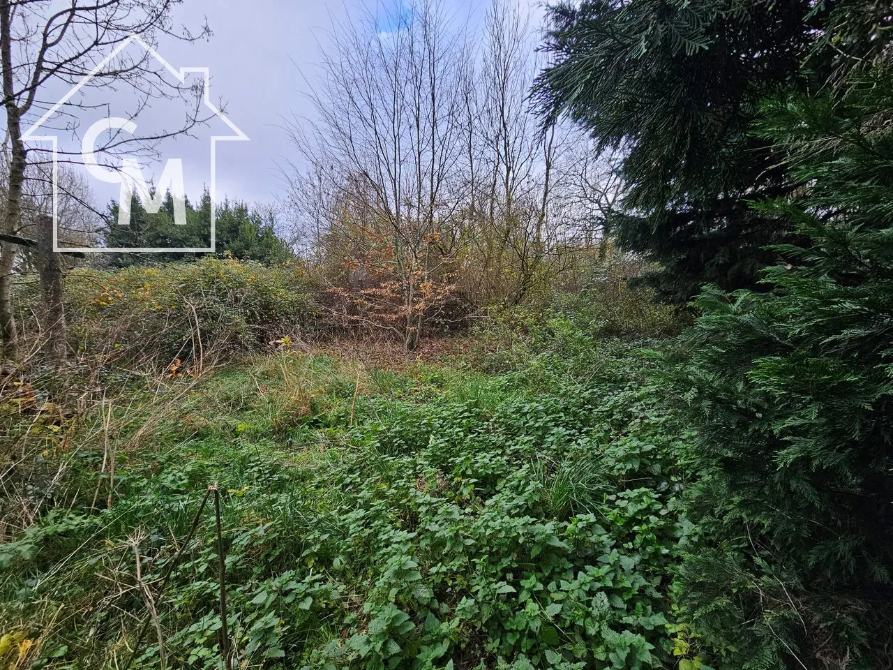 Maison à vendre à Lathus-Saint-Rémy de 2 pièces avec jardin de 752 m² 