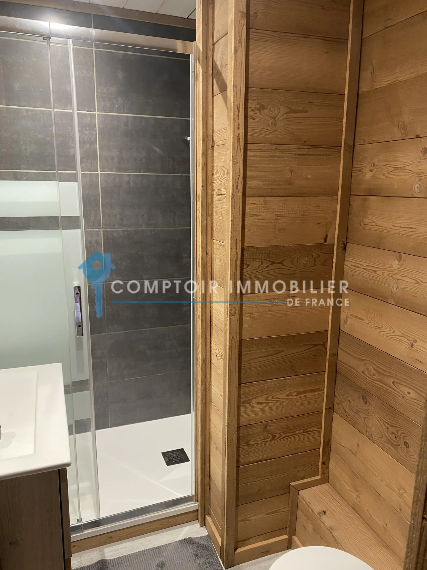 Appartement T3 rénové à Bolquère, proche station de ski, avec cave et style chalet 