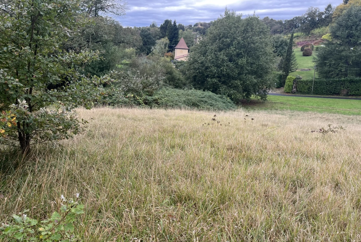 Terrain à bâtir de 3209 m² à Sarlat, proche du centre-ville, calme et constructible 