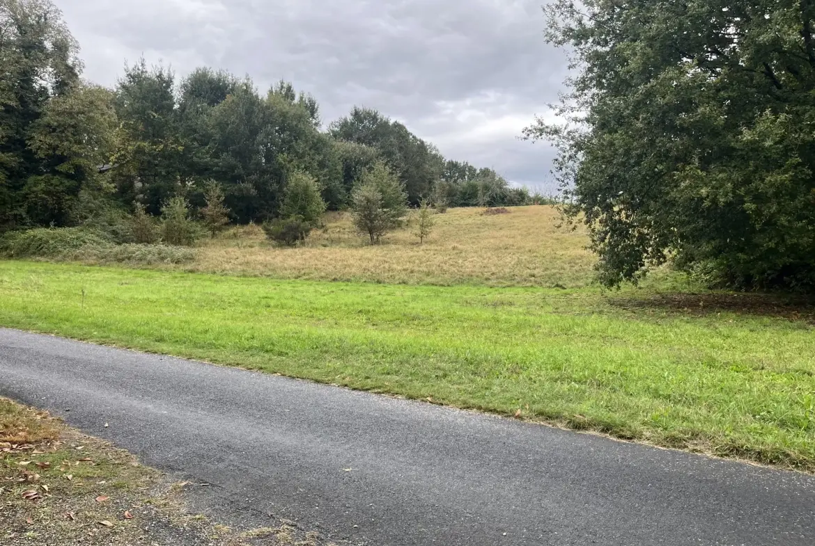 Terrain à bâtir de 3209 m² à Sarlat, proche du centre-ville, calme et constructible 