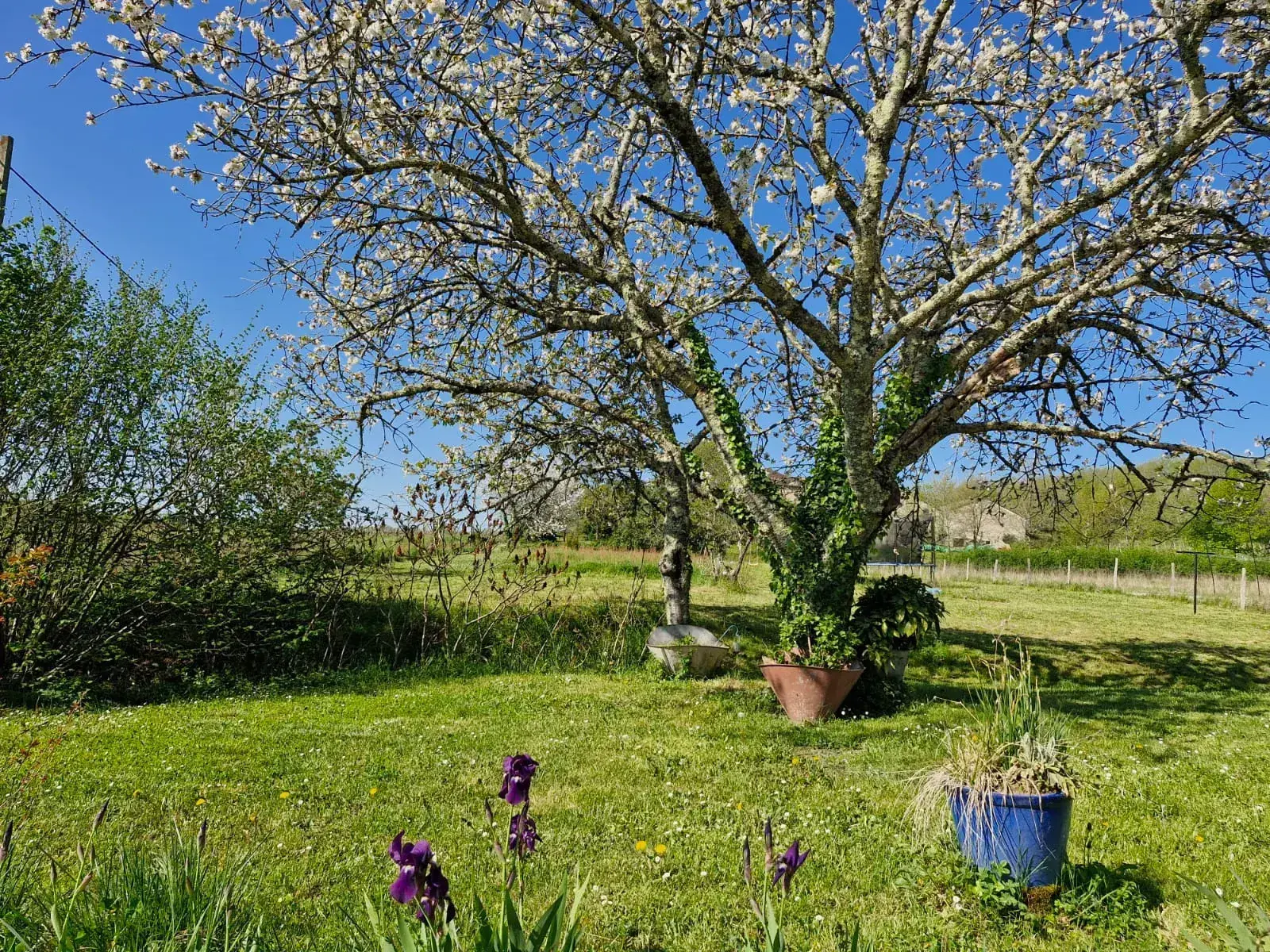 Maison à rénover avec dépendance sur 3024 m² à Ste Radegonde 