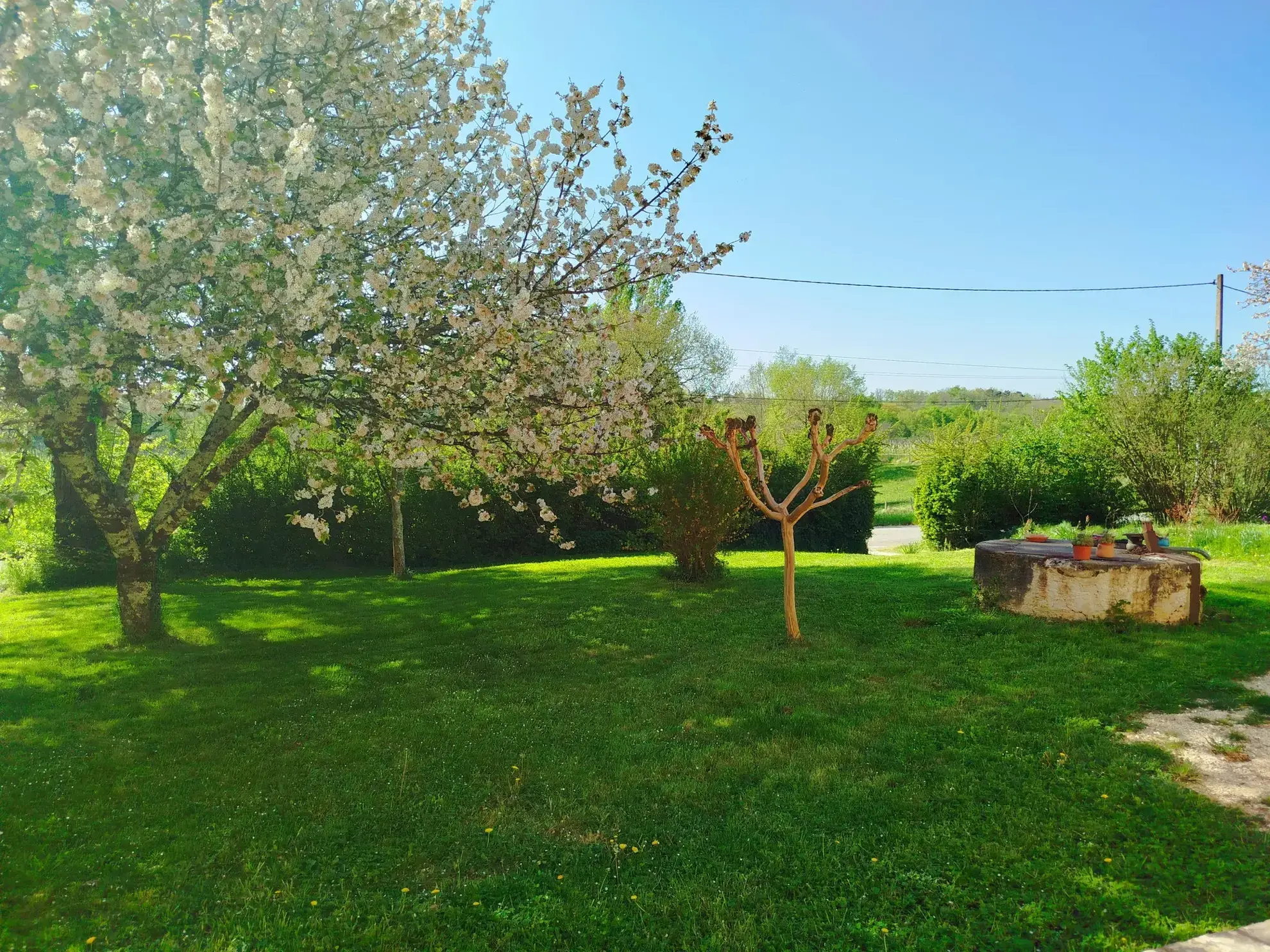 Maison à rénover avec dépendance sur 3024 m² à Ste Radegonde 