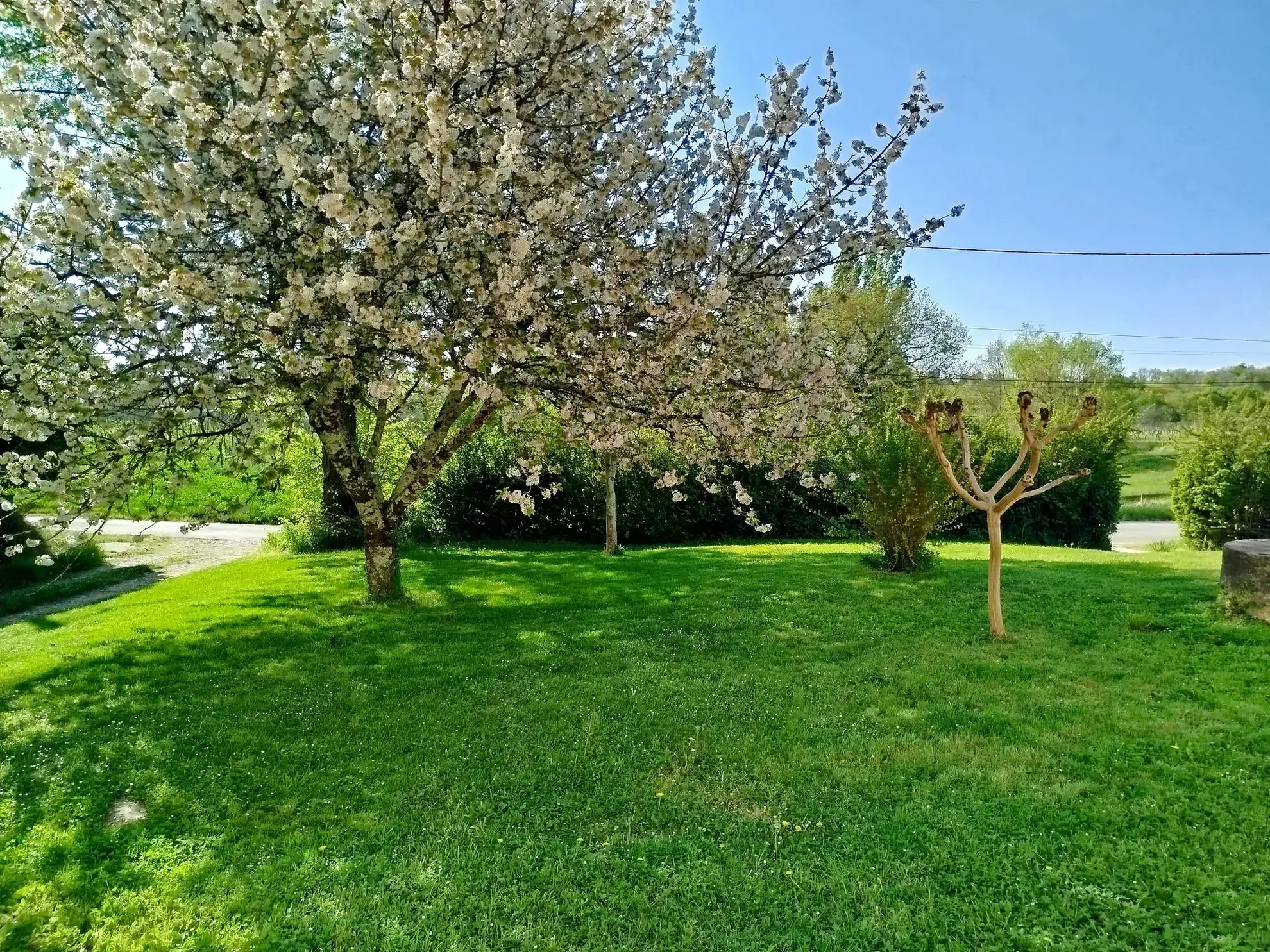 Maison à rénover avec dépendance sur 3024 m² à Ste Radegonde 