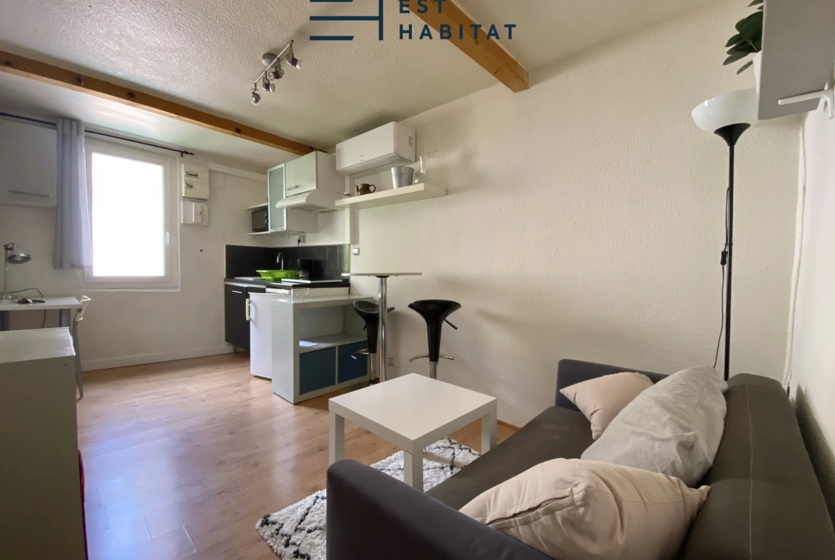 Immeuble en Chartreuse avec deux appartements à Toulouse - Investissement idéal 