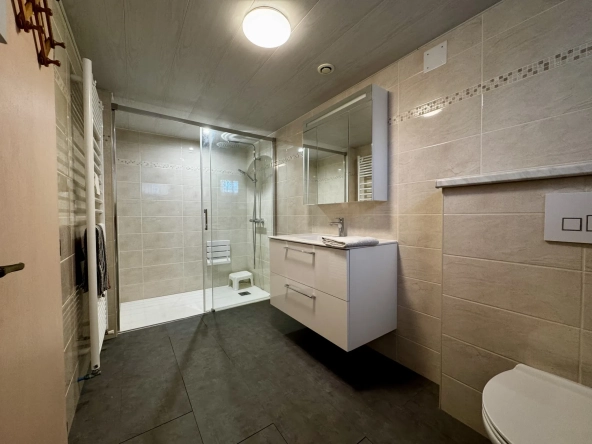 Maison mitoyenne de 143,29 m² avec dépendance, garage et jardin à Freyming-Merlebach 