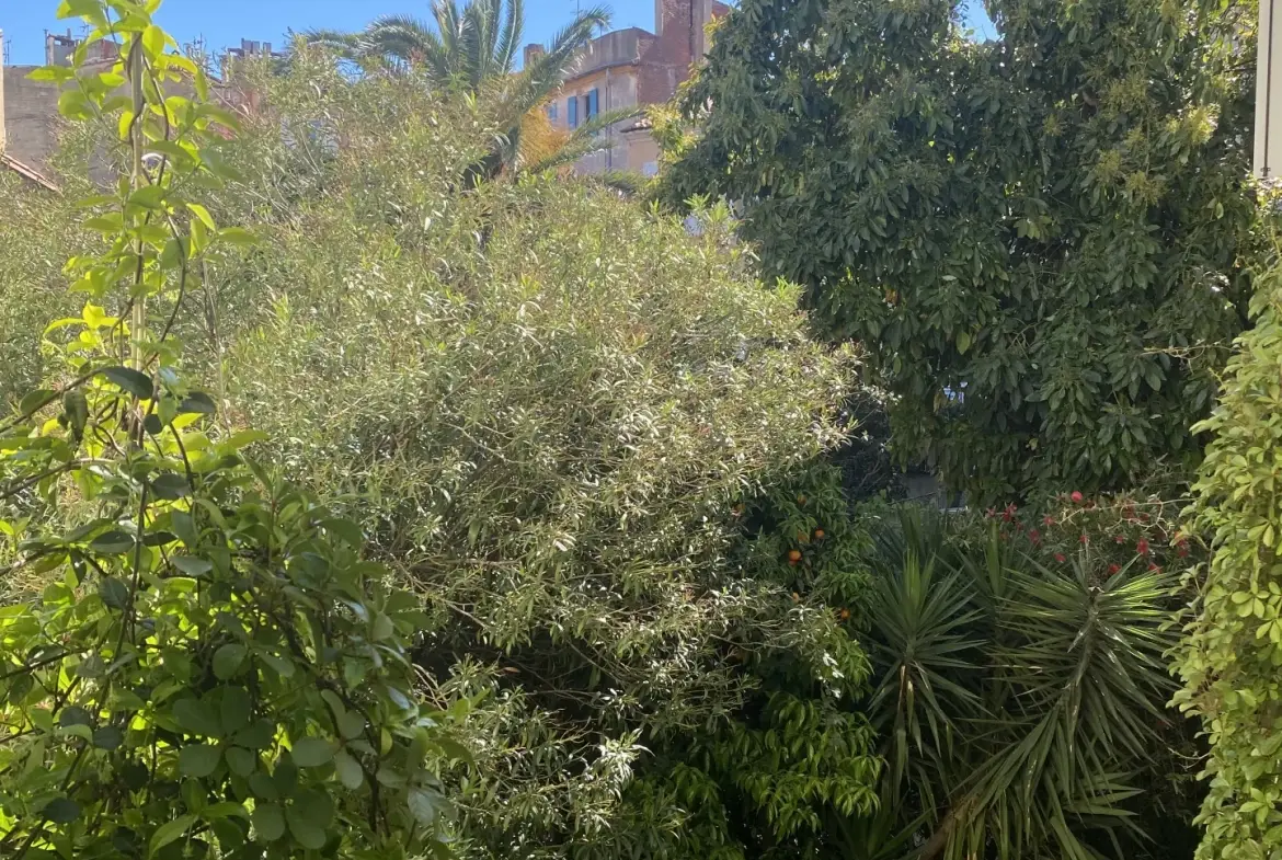 Appartement 2 pièces rénové en plein centre de Perpignan - Investissement ou pied-à-terre 