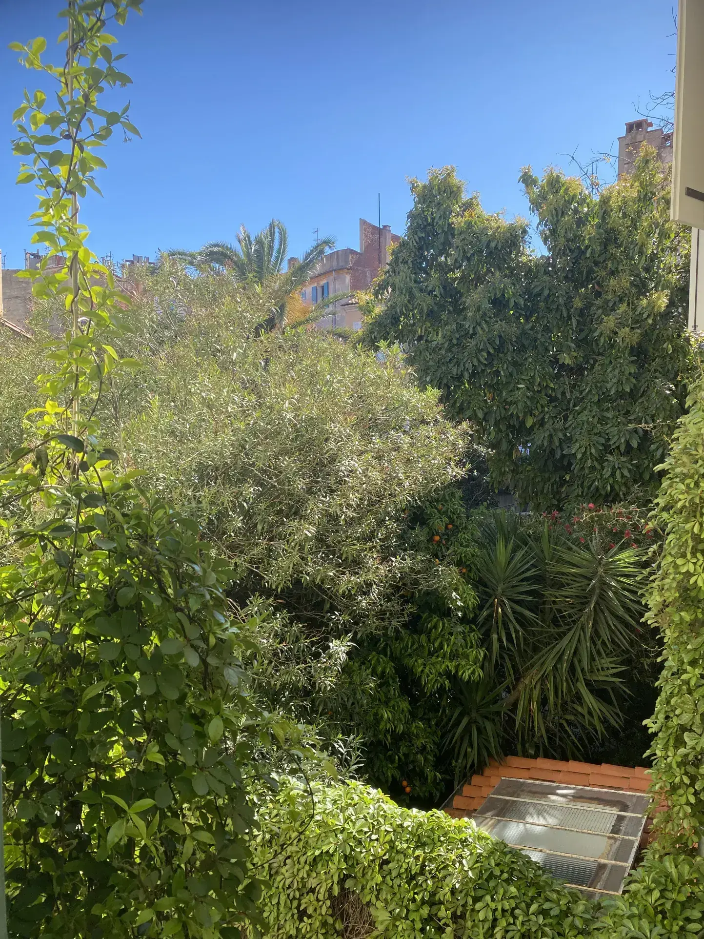 Appartement 2 pièces rénové en plein centre de Perpignan - Investissement ou pied-à-terre 
