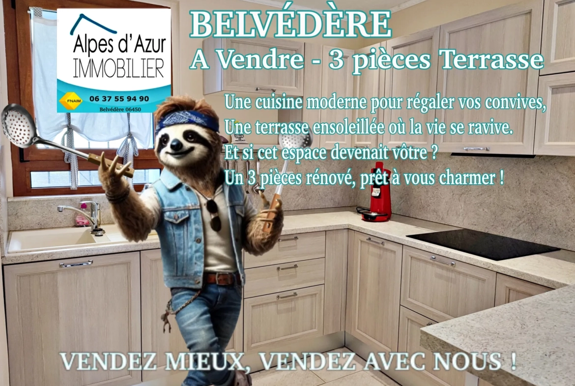 Appartement 3 pièces meublé avec terrasse et vue panoramique à Belvédère 