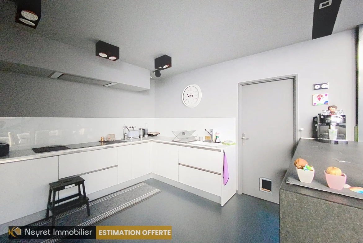 Loft de 161 m² avec terrasse à Saint-Étienne - Spacieux et lumineux 