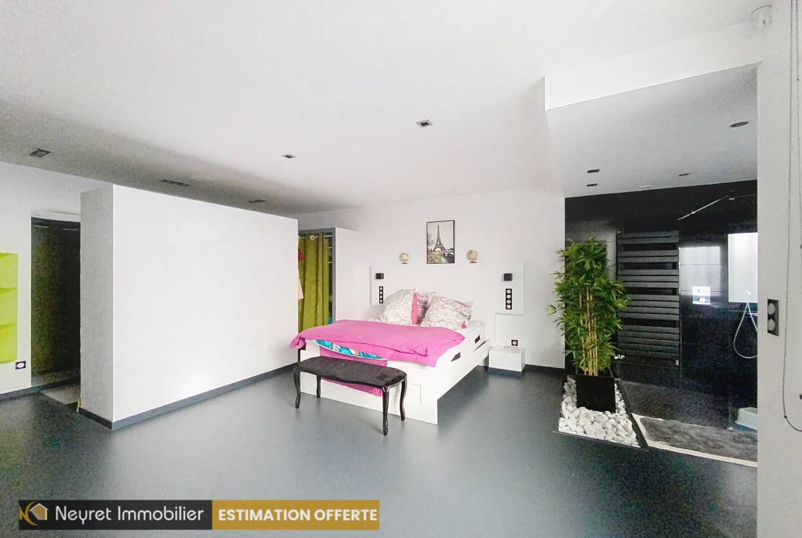 Loft de 161 m² avec terrasse à Saint-Étienne - Spacieux et lumineux 