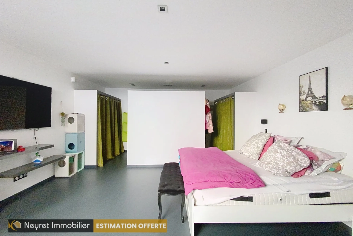 Loft de 161 m² avec terrasse à Saint-Étienne - Spacieux et lumineux 