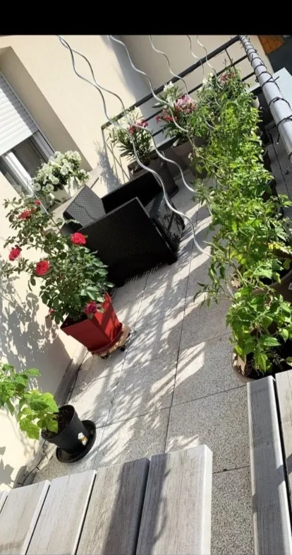Appartement 3 pièces à Riedisheim de 63 m² avec terrasse, faibles charges 