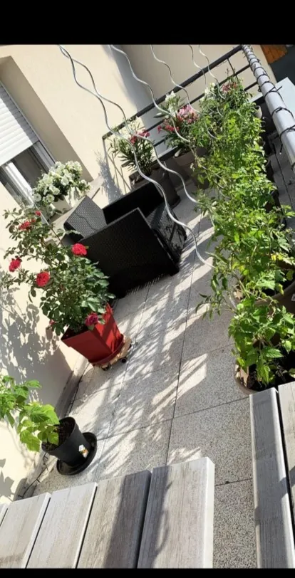Appartement 3 pièces à Riedisheim de 63 m² avec terrasse, faibles charges 