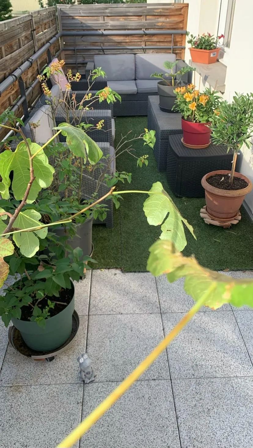 Appartement 3 pièces à Riedisheim de 63 m² avec terrasse, faibles charges 
