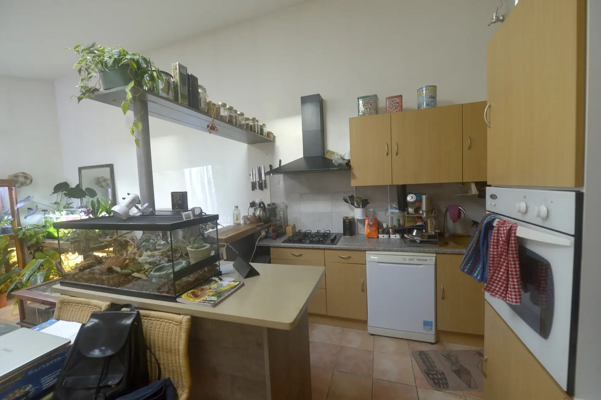 Investissez dans deux maisons locatives à Meschers-sur-Gironde avec terrasse et dépendances 