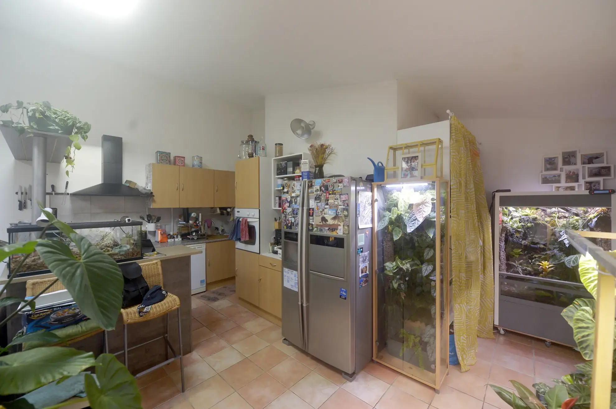 Investissez dans deux maisons locatives à Meschers-sur-Gironde avec terrasse et dépendances 