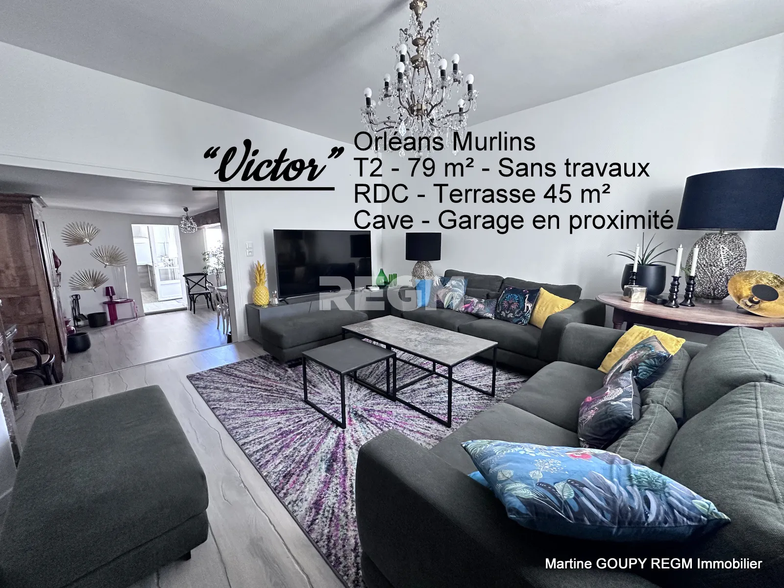 Magnifique appartement T2 de 79 m² avec terrasse à Orléans Murlins 
