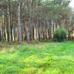 Terrains à bâtir de 5395 m² à Saint-Germain-du-Salembre en Périgord