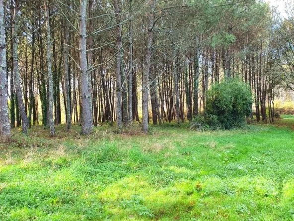 Terrains à bâtir de 5395 m² à Saint-Germain-du-Salembre en Périgord