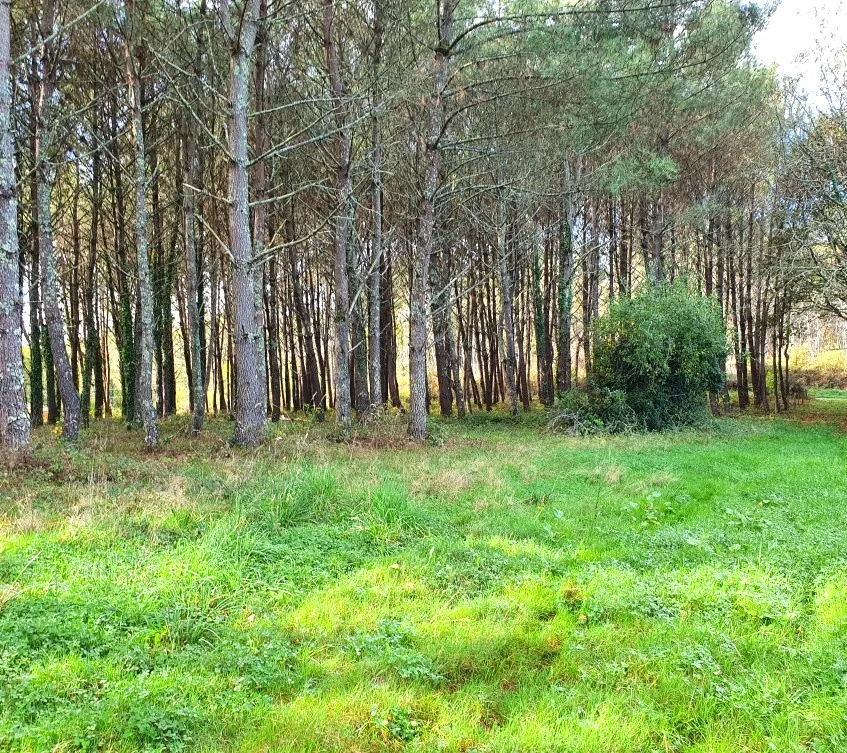 Terrains à bâtir de 5395 m² à Saint-Germain-du-Salembre en Périgord 