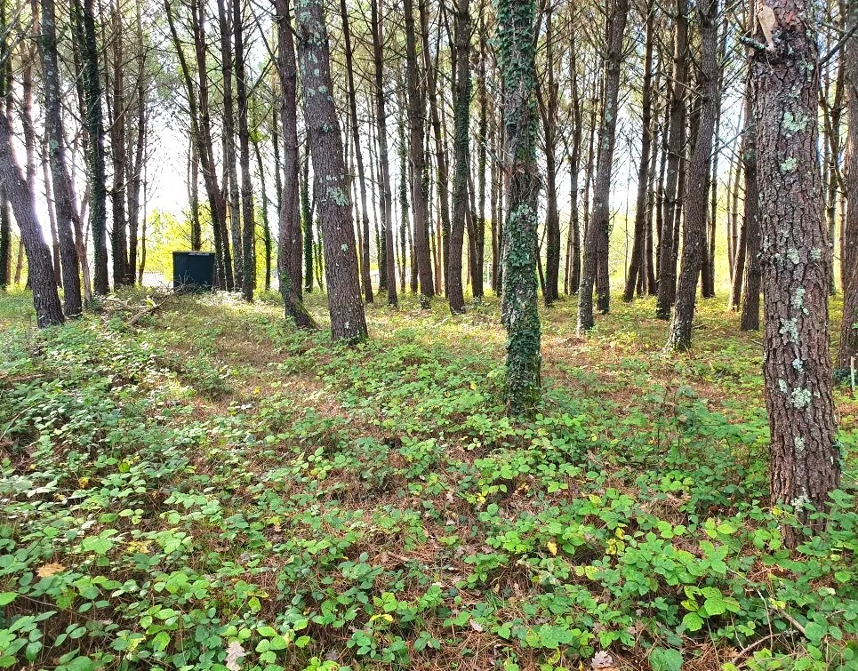 Terrains à bâtir de 5395 m² à Saint-Germain-du-Salembre en Périgord 