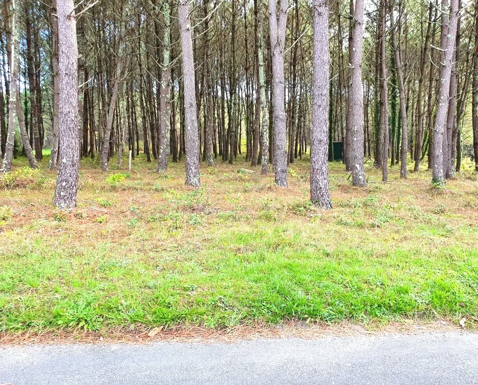 Terrains à bâtir de 5395 m² à Saint-Germain-du-Salembre en Périgord 