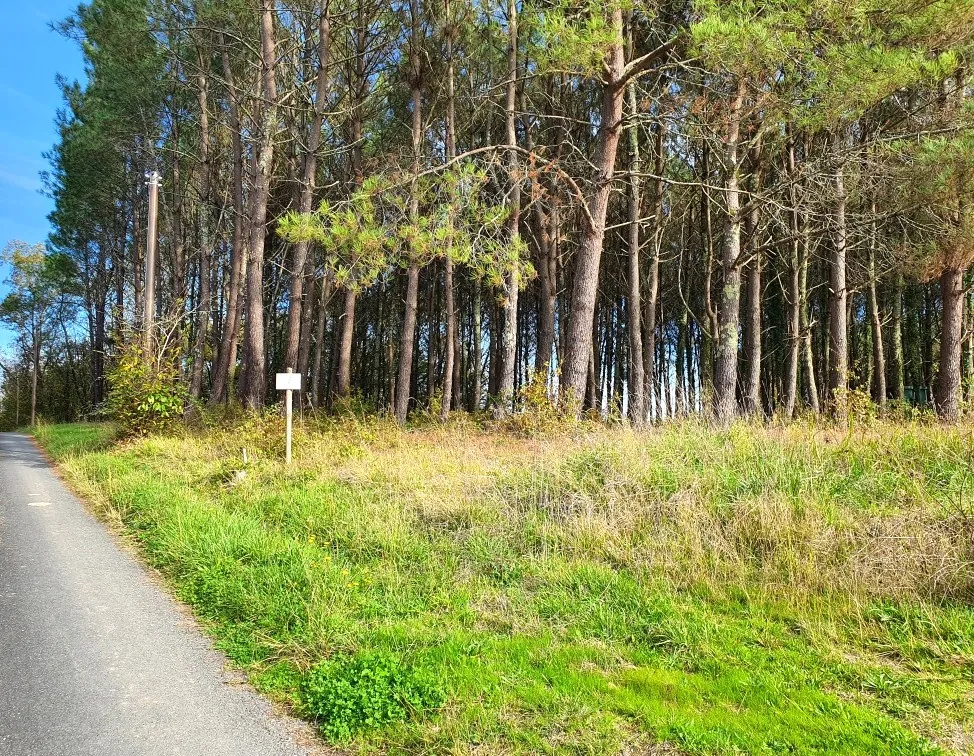 Terrains à bâtir de 5395 m² à Saint-Germain-du-Salembre en Périgord 