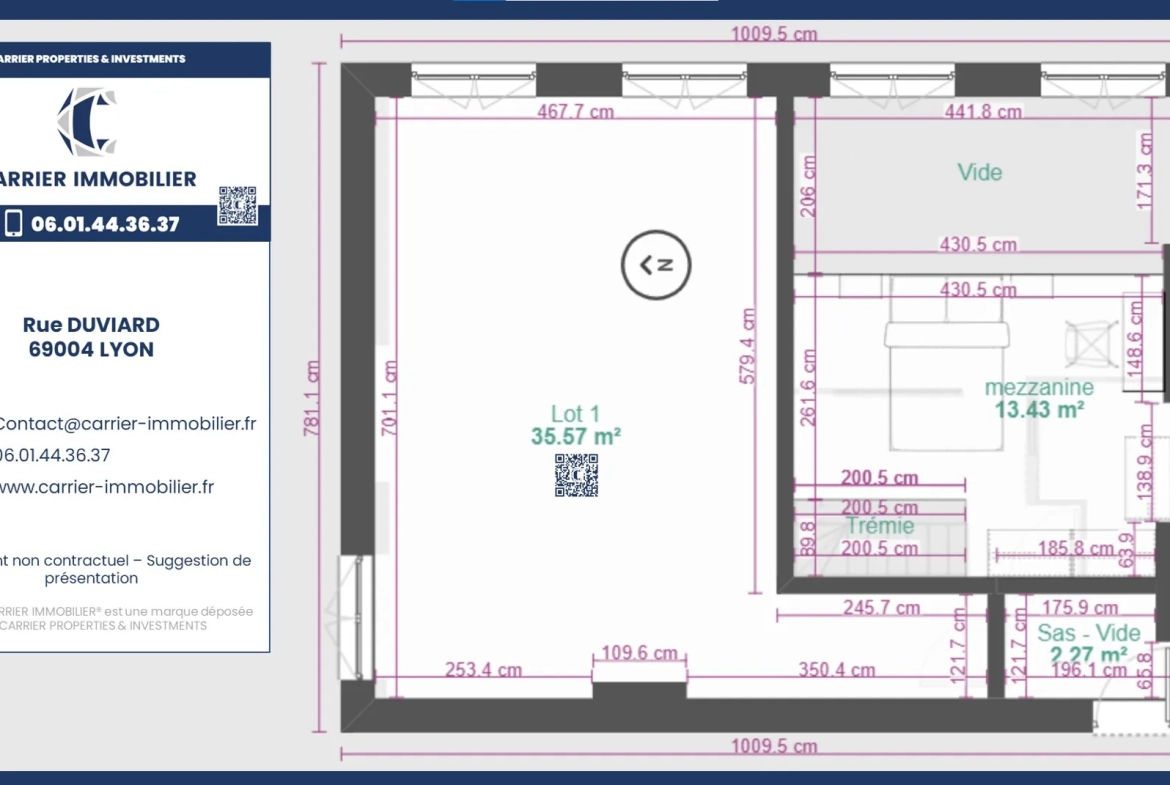 Appartement à rénover de 24 m² avec mezzanine à Lyon – Rue Duviard, parfait pour investissement 