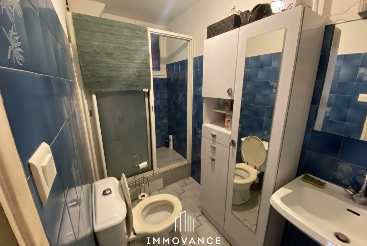 Maison divisée en 3 appartements avec terrain et garage à Millau 