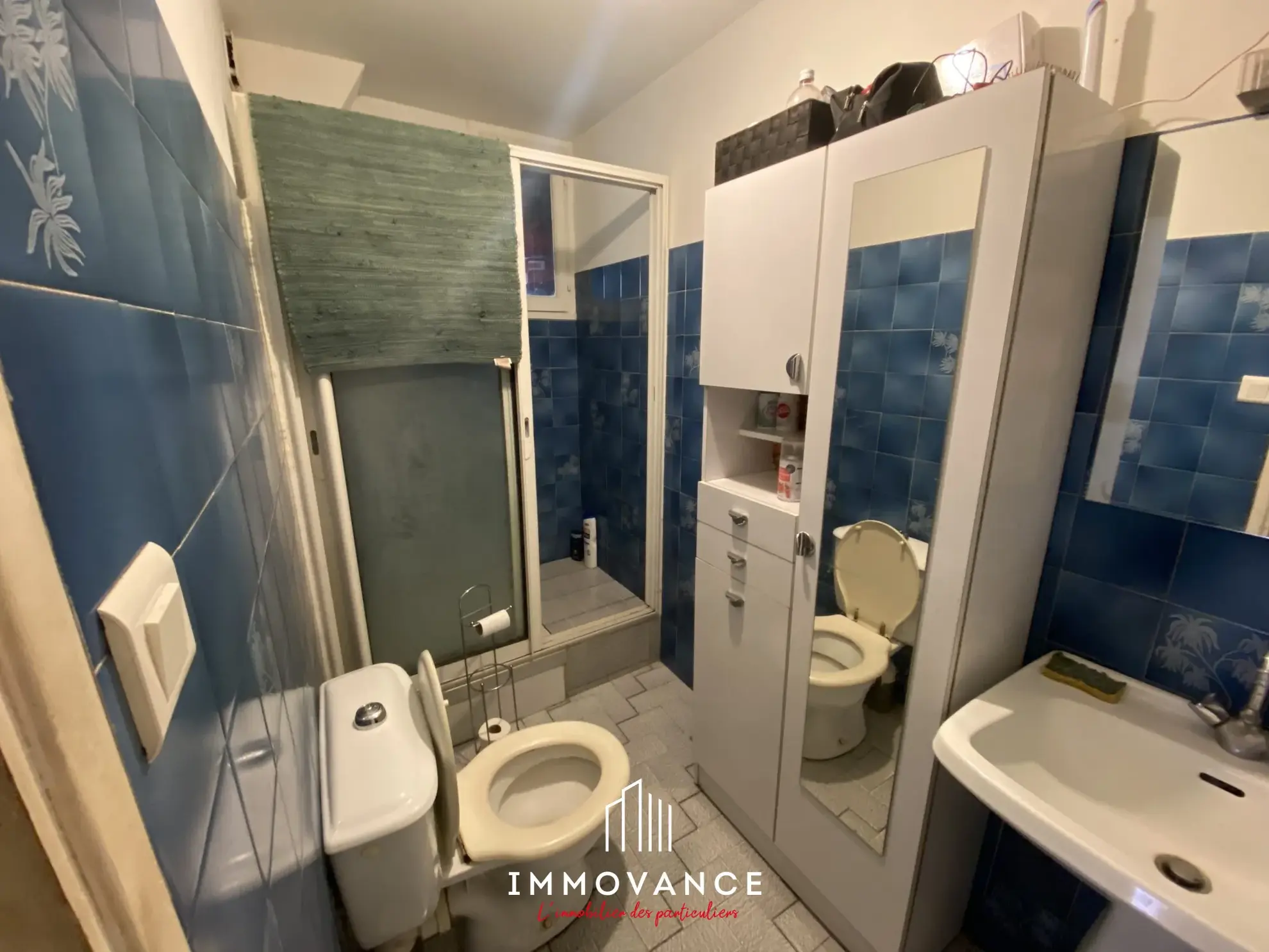 Maison divisée en 3 appartements avec terrain et garage à Millau 