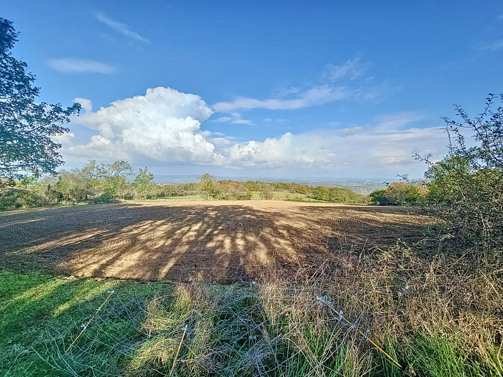 Maison de plain-pied à Milhars avec terrain de 970 m², proche Cordes-sur-Ciel 