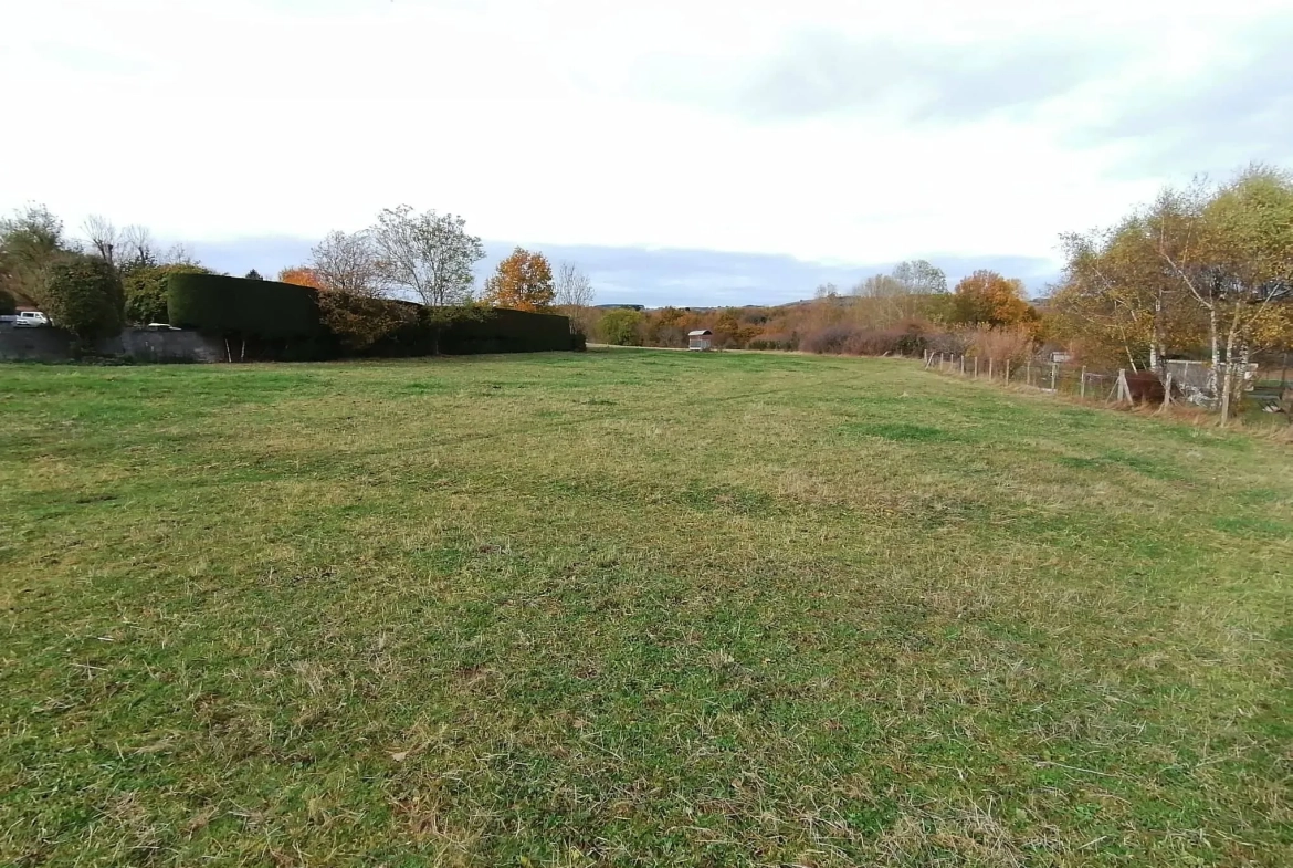 Terrain constructible de 1742 m² à Manzat - Opportunité à saisir 