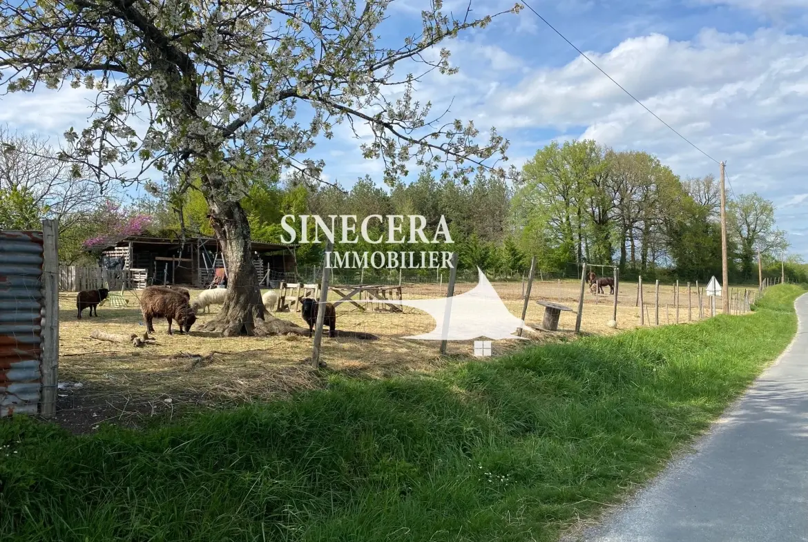 Ancienne ferme en pierre avec grange à Celles - propriété de charme en Dordogne 