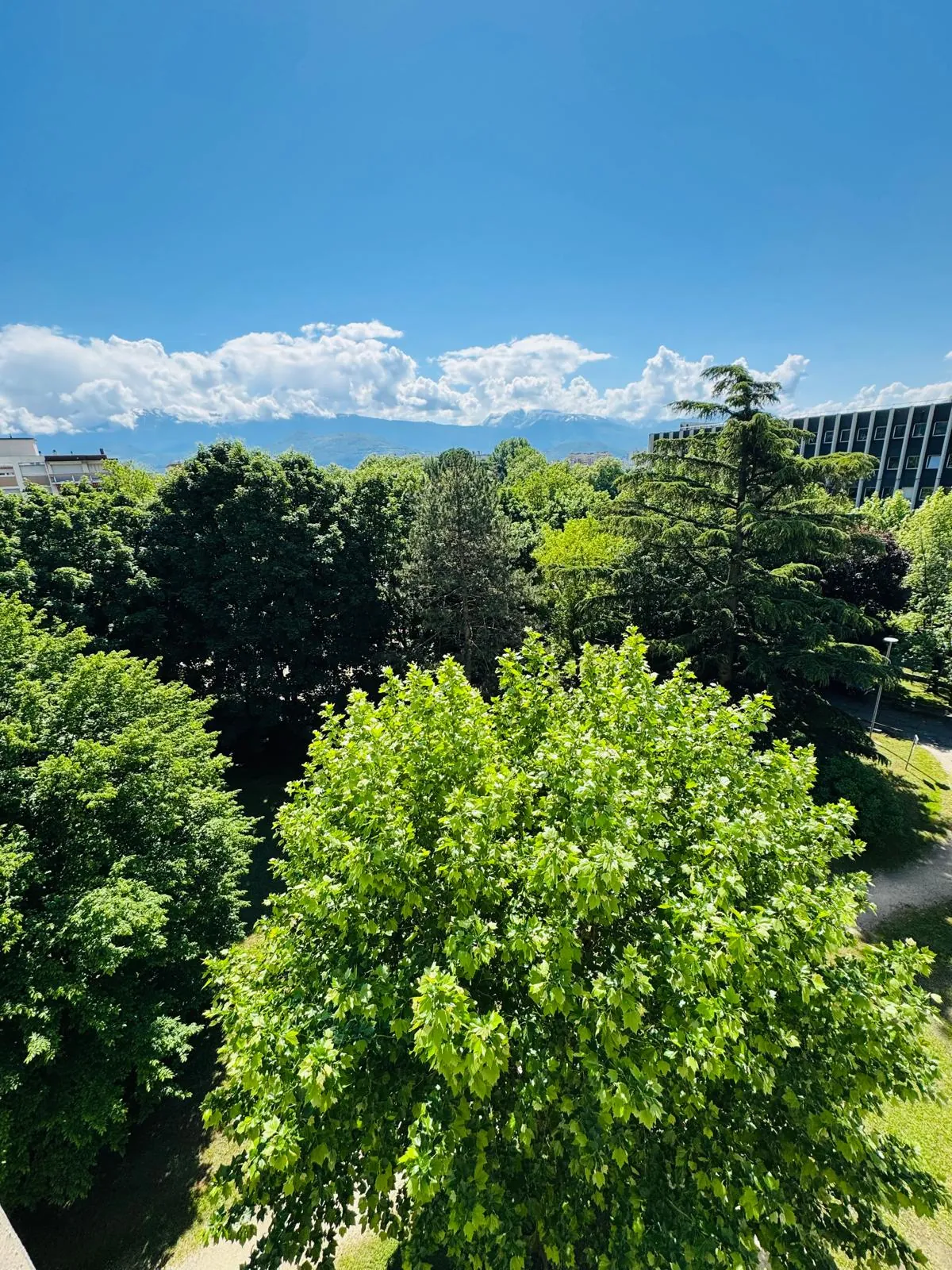 Appartement à vendre à Grenoble - 4 pièces, balcon, terrasse, à rafraîchir 