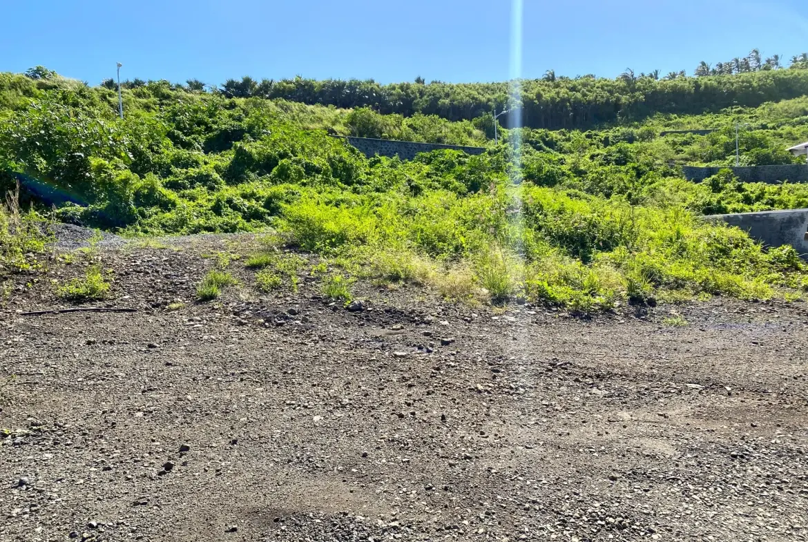 Terrain constructible de 375 m² à vendre à Saint-Pierre - Quartier Grands Bois 
