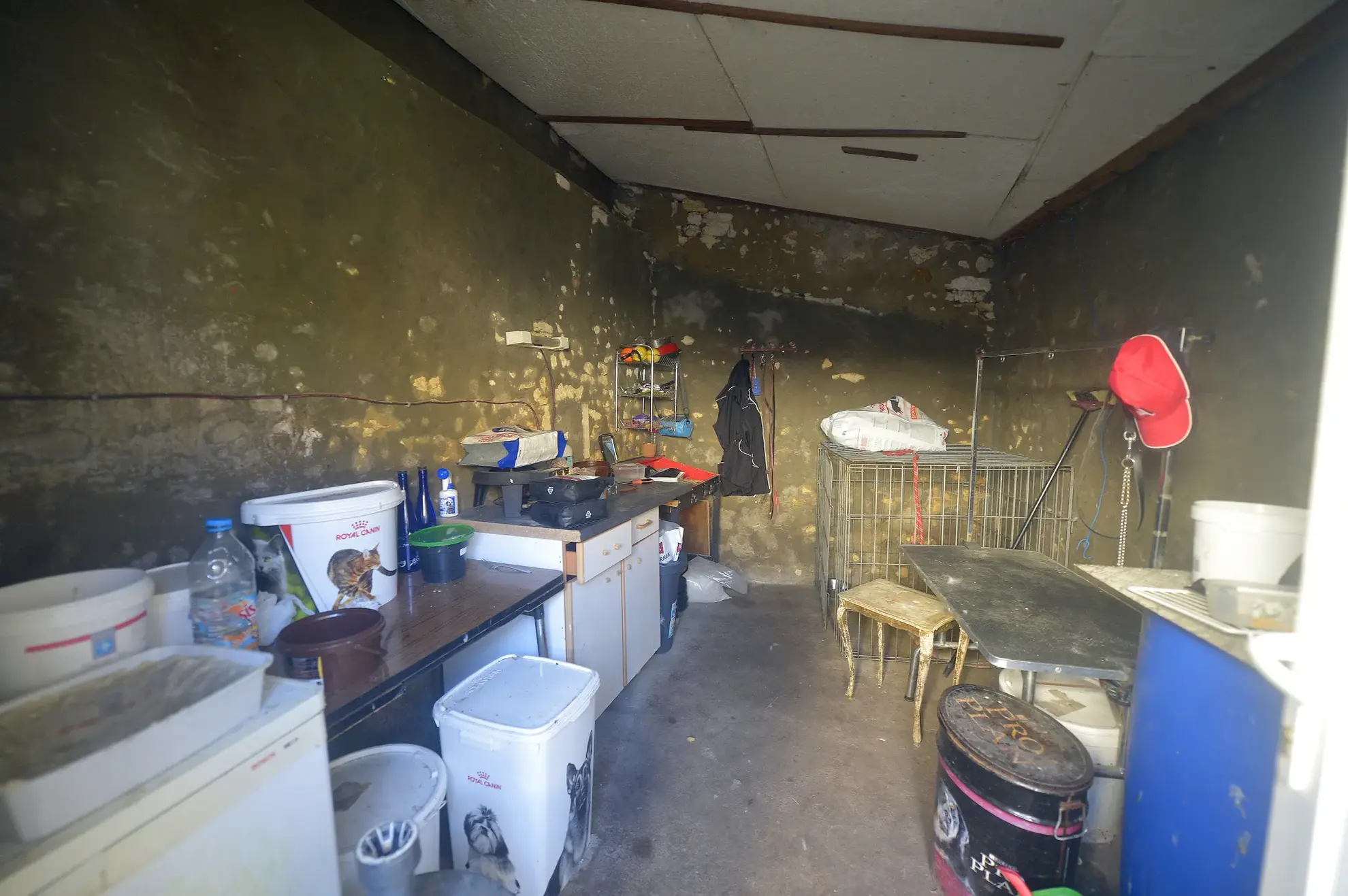 Maison charentaise à Nieulle-sur-Seudre avec logement indépendant et jardin 