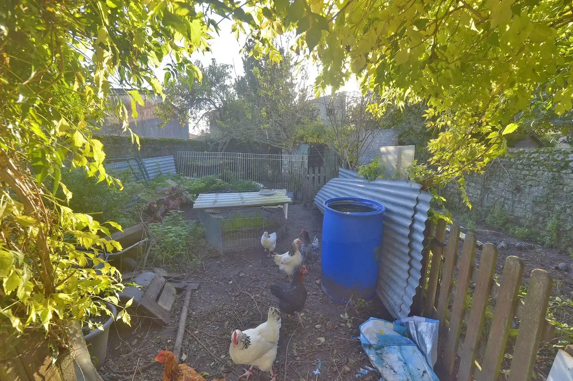 Maison charentaise à Nieulle-sur-Seudre avec logement indépendant et jardin 